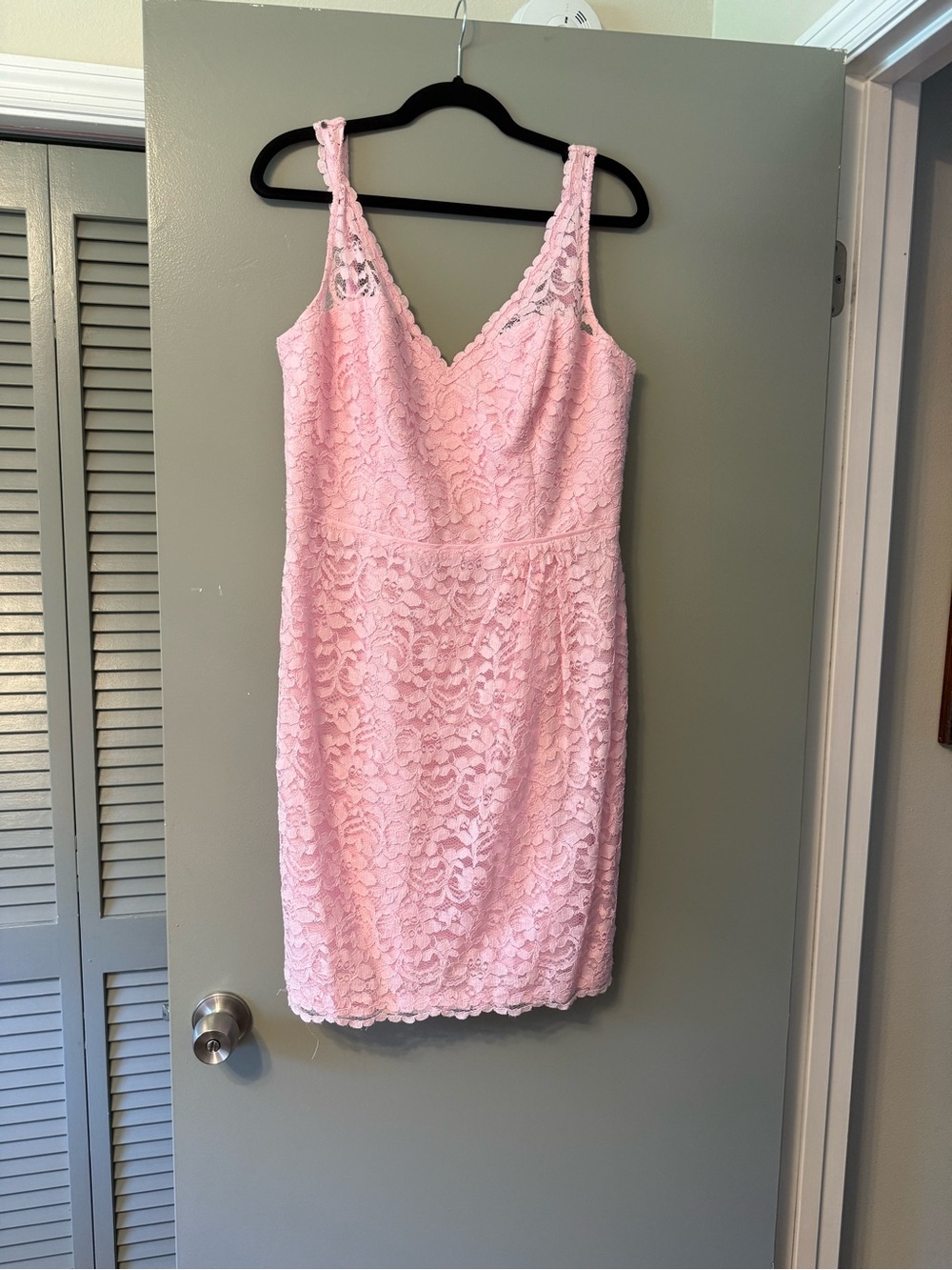 David's Bridal Light Pink Lace Slip Dress